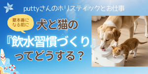 犬と猫の飲水習慣作りってどうする？