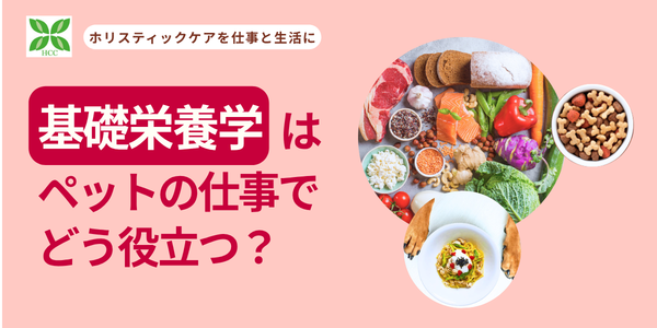 犬と猫の「基礎栄養学」は、ペットのお仕事でどう役立つ?2
