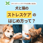 犬と猫のストレスケアの始め方って
