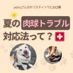 夏の肉球トラブル対応法って2