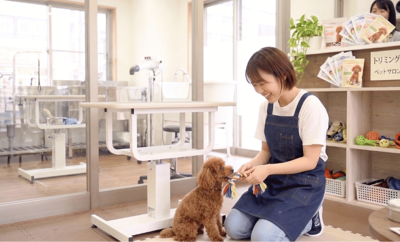 ペットサロン