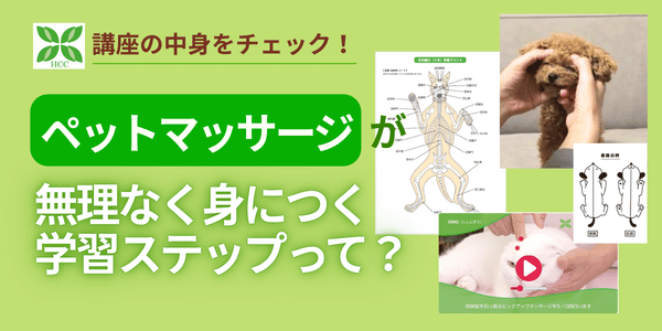 ペットマッサージが無理なく身につく学習ステップって
