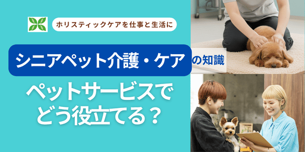 シニアペット介護ケアペットサービスへどう役立てる2