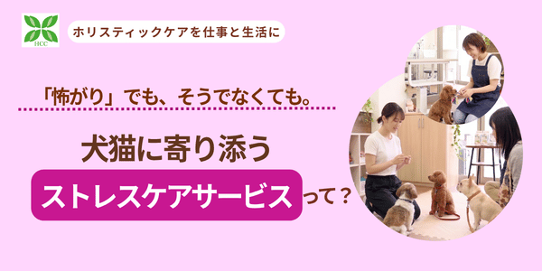 犬猫に寄り添うストレスケアサービスって