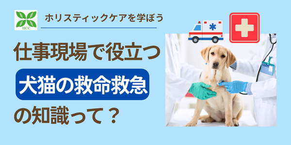仕事現場で役立つ犬猫の救命救急の知識って