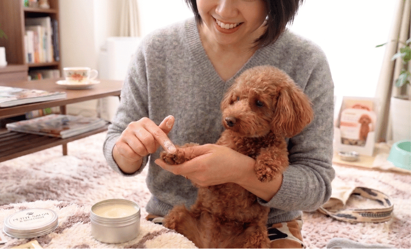肉球クリームを塗る飼い主