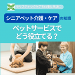 シニアぺとTの秋後・ケアの知識をペットサービスでどう役立てる